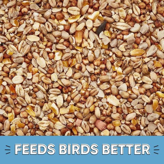 Happy Beaks - Robin & Songbird Wild Bird No Mess Seed Mix